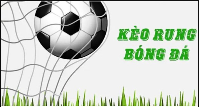 Kinh Nghiệm Quý Báu Khi Tham Gia Kèo Rung Là Gì?